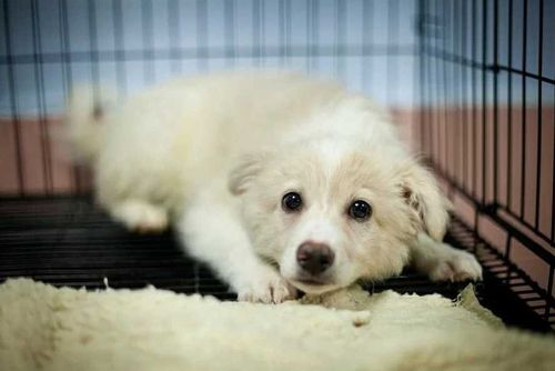 Фото пресс-службы СГК